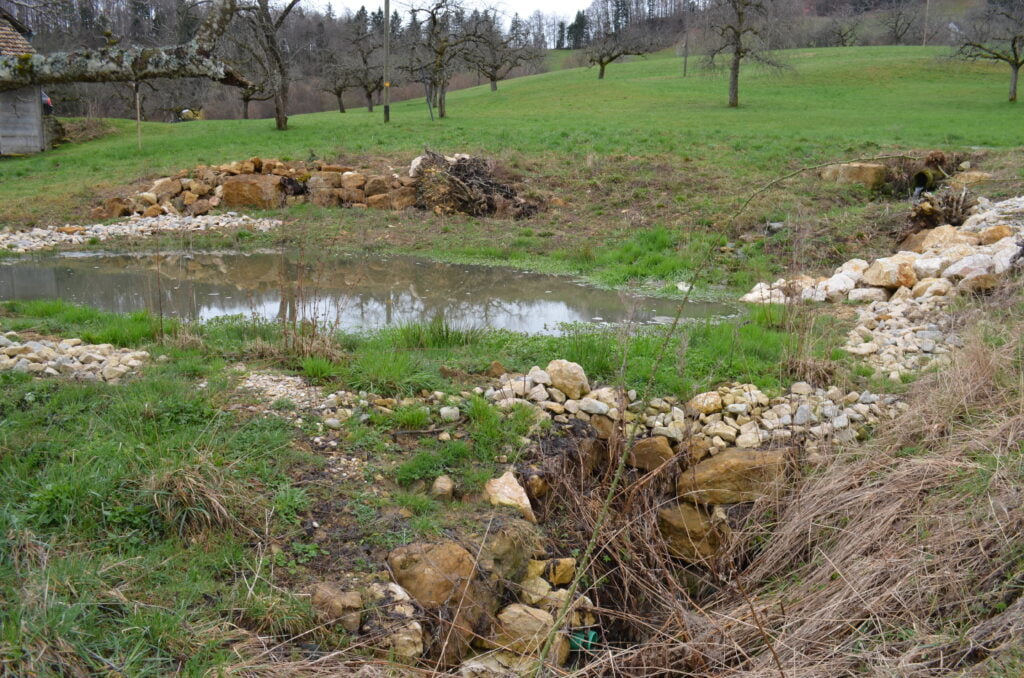 Biodiversität dank Landwirtschaft dank Biodiversität