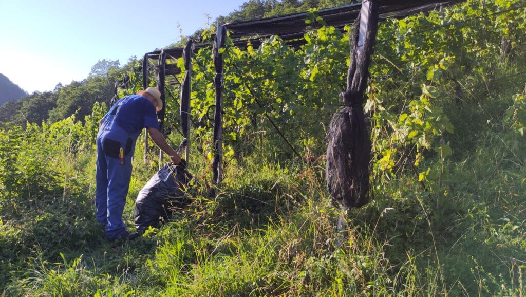 Arbeitseinsatz Biodiversität