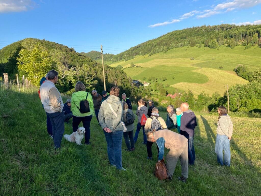 Abendspaziergang Pflanzennamen