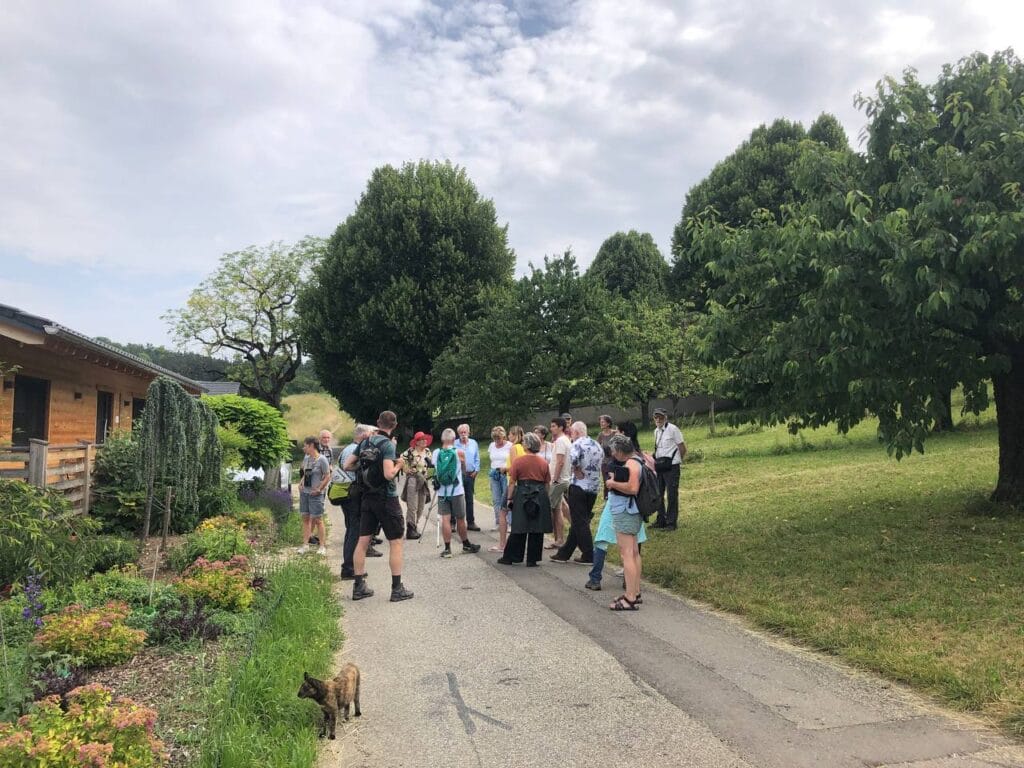 Vögel im Siedlungsgebiet