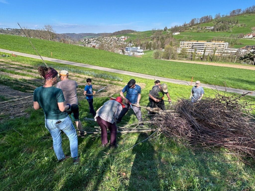 Igelfreundliche Gärten