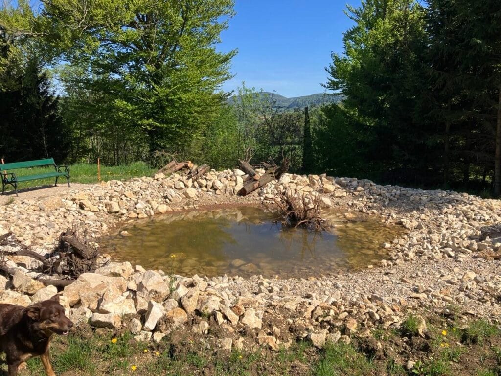 Lampenberg: Erstellung und Sanierung von Weihern