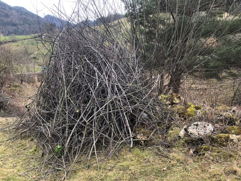 Räumung Baumschnitt