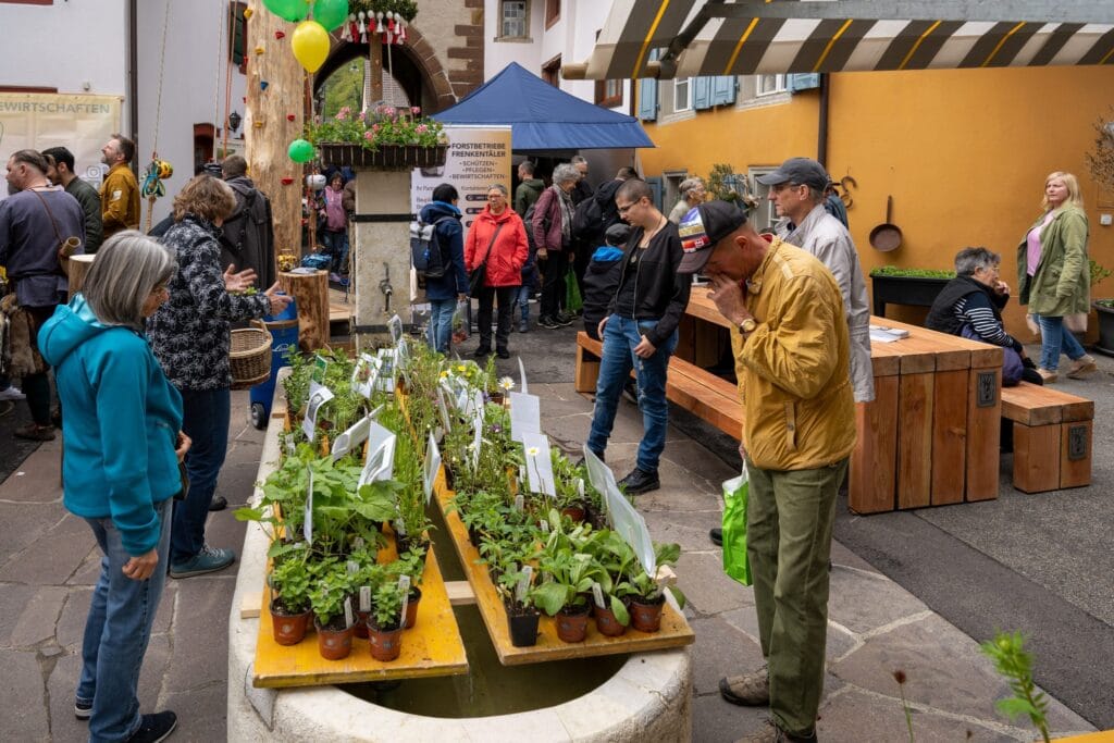 Frühlingsmarkt Waldenburg